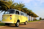 VW Bus with palm trees