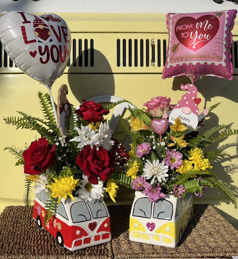 Valentines Gift, VW Planer, Fresh Flowers, Daisy and roses